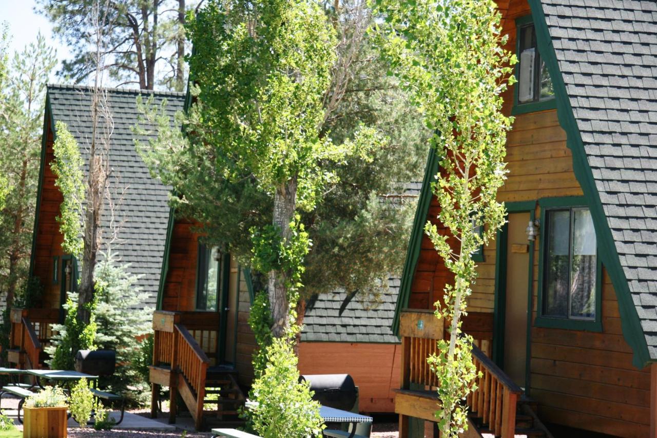 Pine Cabins On Strawberry Hill酒店 外观 照片